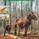 Tielbild Wochenblatt für Landwirtschaft 03-2016