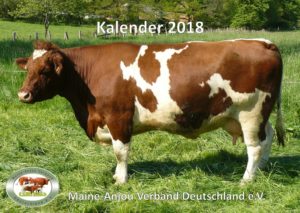 Kalender Deckblatt 2018