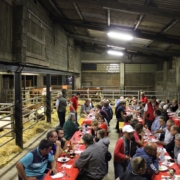 Assemblée générale annuelle des participants