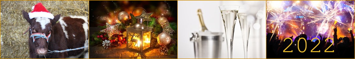 Weihnachtsgrüße